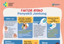 faktorisikojantungdinkespali