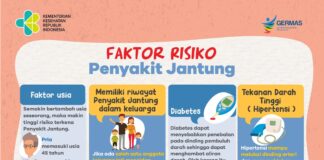 faktorisikojantungdinkespali