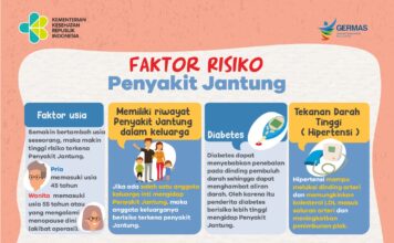 faktorisikojantungdinkespali