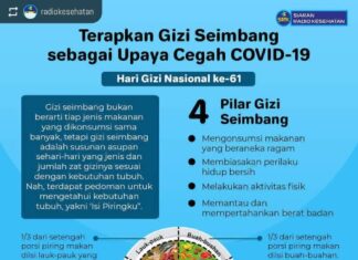 giziseimbangcegahcovid19